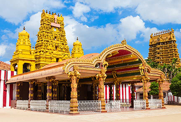 Ancient columns icon