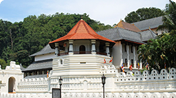 Ancient columns icon